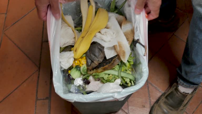 Best Hoarding Cleanup  in Diamond Ridge, AK